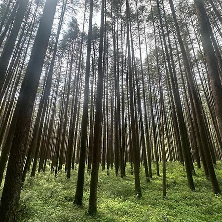 Deodar Village Homestay Devalsari Mussoorie Εξωτερικό φωτογραφία