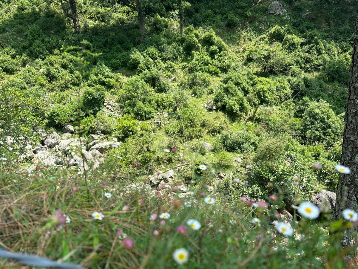 Deodar Village Homestay Devalsari Mussoorie Εξωτερικό φωτογραφία
