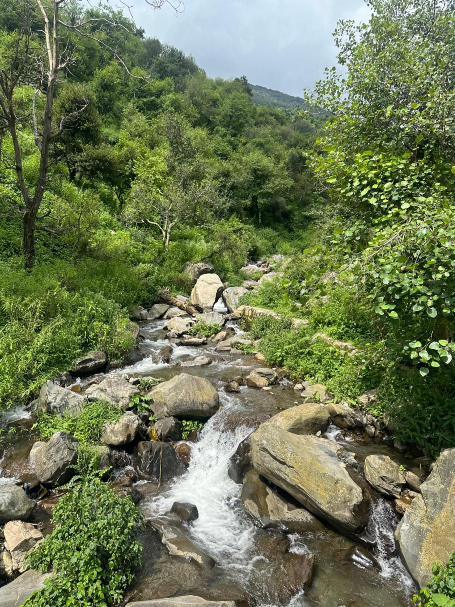 Deodar Village Homestay Devalsari Mussoorie Εξωτερικό φωτογραφία