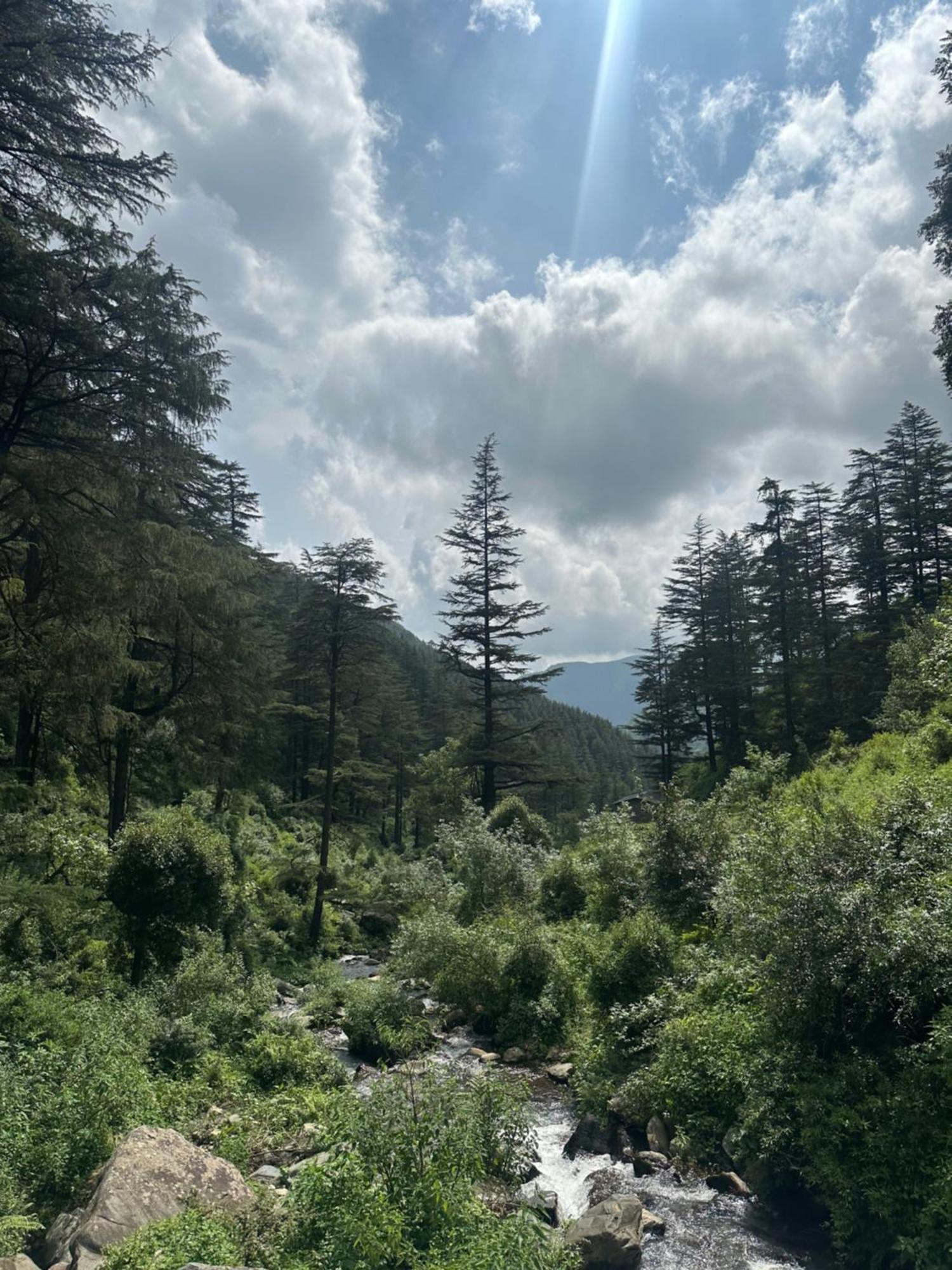 Deodar Village Homestay Devalsari Mussoorie Εξωτερικό φωτογραφία
